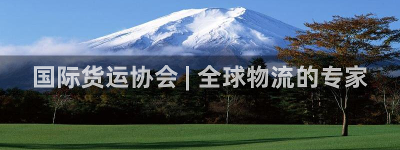 尊龙官网免费下载安卓：国际货运协会 | 全球物流的专家