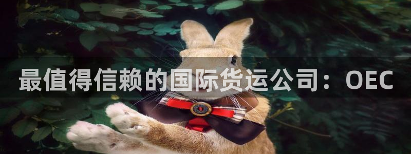 尊龙目前在哪：最值得信赖的国际货运公司：OEC