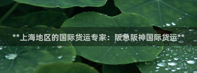 尊龙am i blue：**上海地区的国际货运专家：阪急