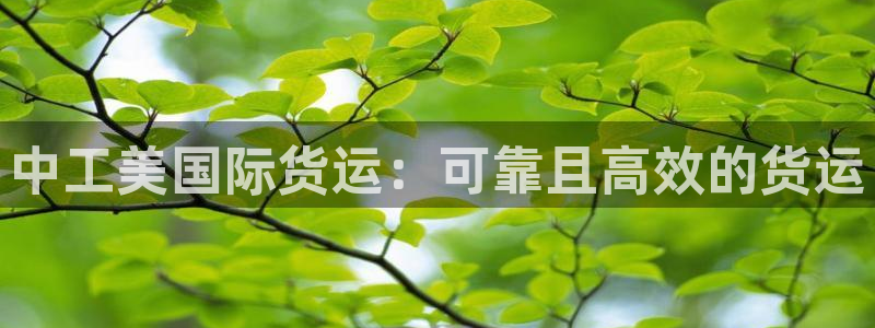 尊龙平台有谁玩过：中工美国际货运：可靠且高效的货运