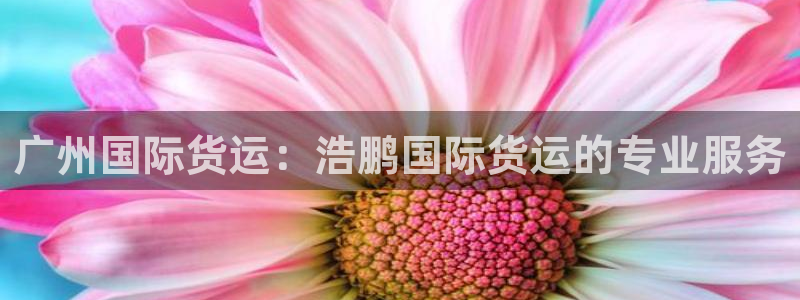 尊龙官网免费下载安装：广州国际货运：浩鹏国际货运的专业服