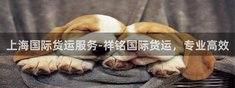 尊龙凯时为什么不封：上海国际货运服务-祥铭国际货运，专业