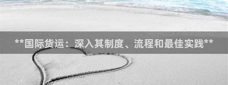 尊龙z6平台：**国际货运：深入其制度、流程和最佳实践*