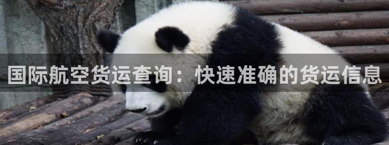 尊龙人生就是博旧版现：国际航空货运查询：快速准确的货运信