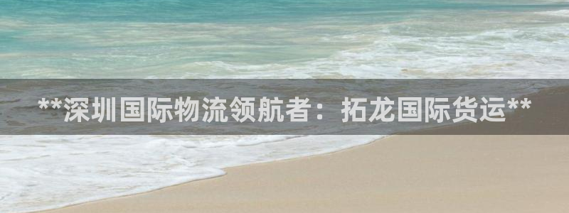 尊龙人生就是博AG：**深圳国际物流领航者：拓龙国际货运