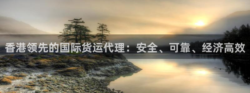 尊龙凯时下载人生就是博：香港领先的国际货运代理：安全、可