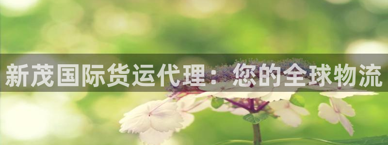 尊龙-人生就是博：新茂国际货运代理：您的全球物流