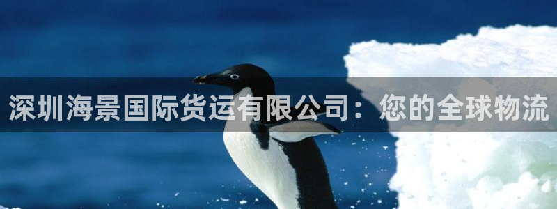 尊龙人生就是博下载：深圳海景国际货运有限公司：您的全球物