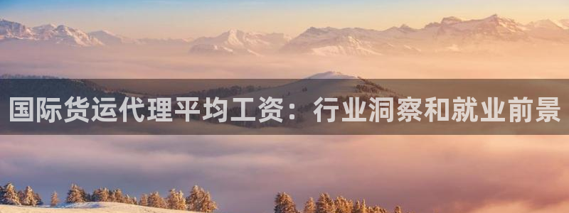 尊龙凯时注册：国际货运代理平均工资：行业洞察和就业前景