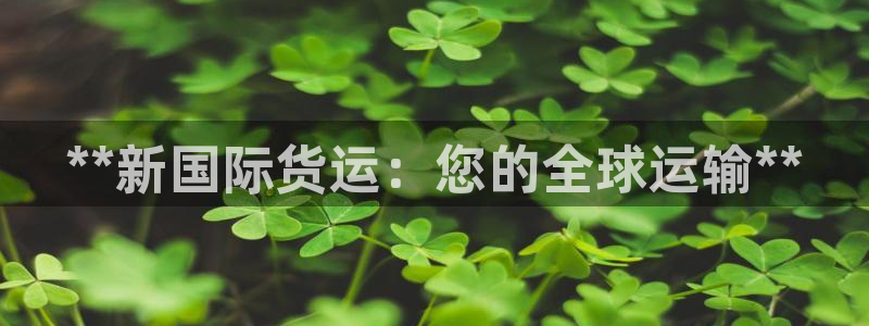 尊龙科技：**新国际货运：您的全球运输**