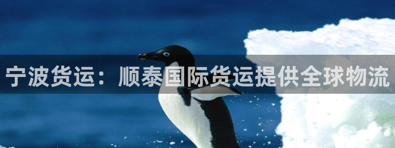 尊龙AG旗舰店：宁波货运：顺泰国际货运提供全球物流