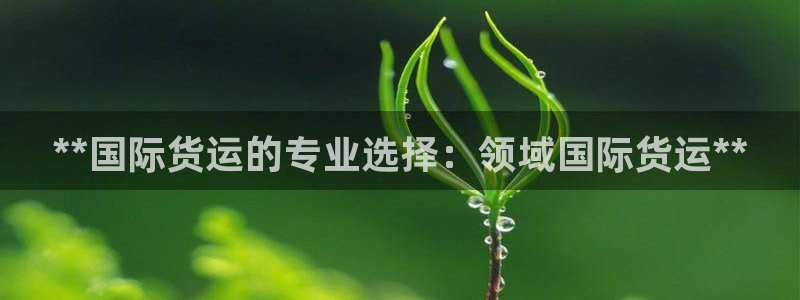 尊龙一人生就是搏：**国际货运的专业选择：领域国际货运*