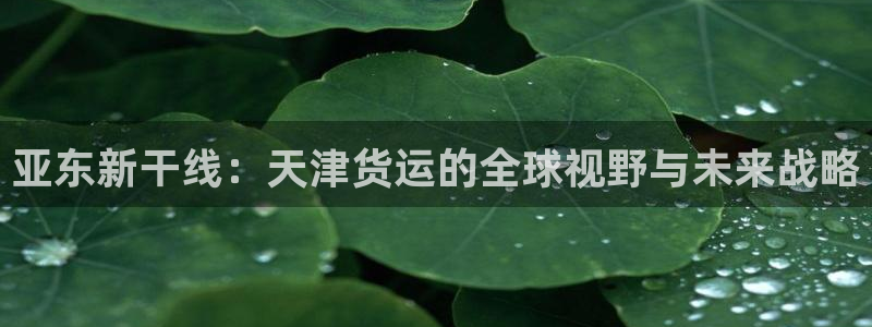 尊龙凯时可以提现吗