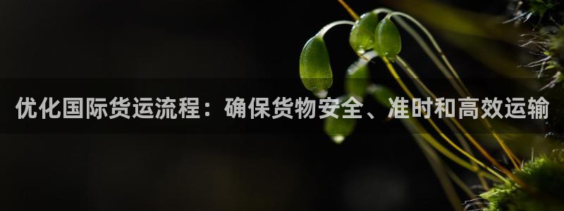 尊龙官网手