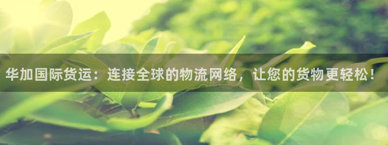 尊龙网平台