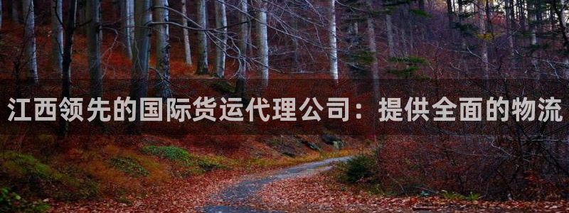 尊龙凯时人生就是博中国官网：江西领先的国际货运代理公司：