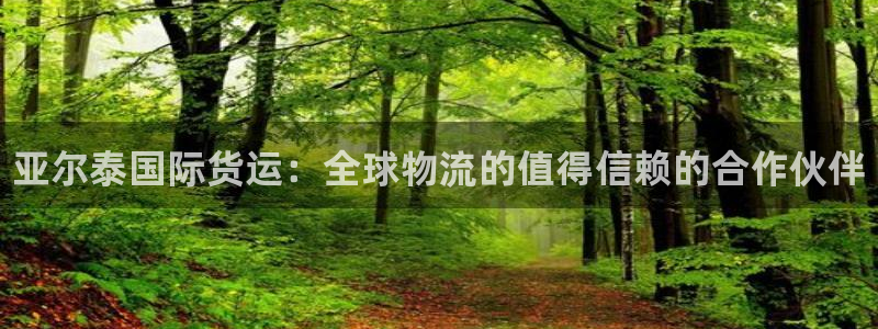 尊龙集团有限公司：亚尔泰国际货运：全球物流的值得信赖的合