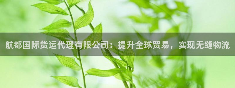 尊龙凯时官网版登录：航都国际货运代理有限公司：提升全球贸