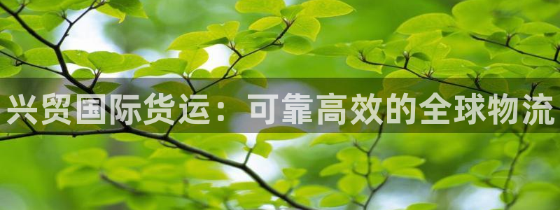 尊龙凯时网站登录：兴贸国际货运：可靠高效的全球物流