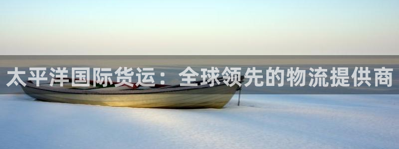 尊龙人生就是博一下下：太平洋国际货运：全球领先的物流提供