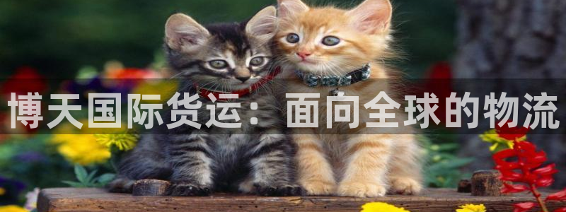 尊龙凯时提款冻卡吗