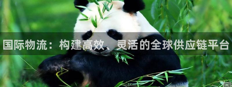 尊龙现金推荐ag发财网