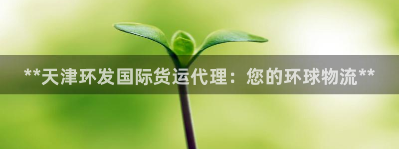 尊龙凯时登入首页：**天津环发国际货运代理：您的环球物流