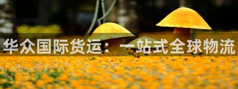 尊龙d88官网去来就送38