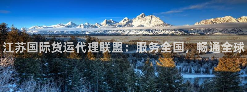 尊龙棋牌旗舰店