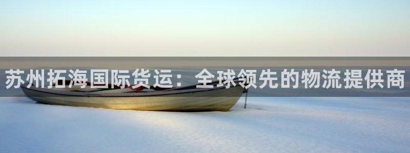 尊龙官网下载：苏州拓海国际货运：全球领先的物流提供商