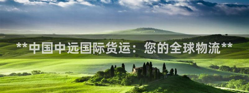 Z6尊龙凯时登录：**中国中远国际货运：您的全球物流**