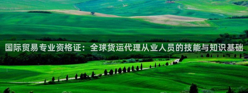 尊龙凯时ag旗舰厅官网客服